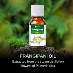 Frangipani oil product image showcasing 15ml bottle
