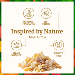 Frankincense essential oil for diffuser and aromatherapy