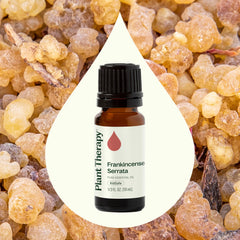 Frankincense Serrata oil used in skincare routine