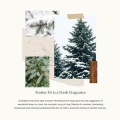 Frasier Fir Gilded Collection packaging box