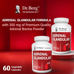 Freeze-dried adrenal bovine powder used in Dr. Berg Adrenal Glandular