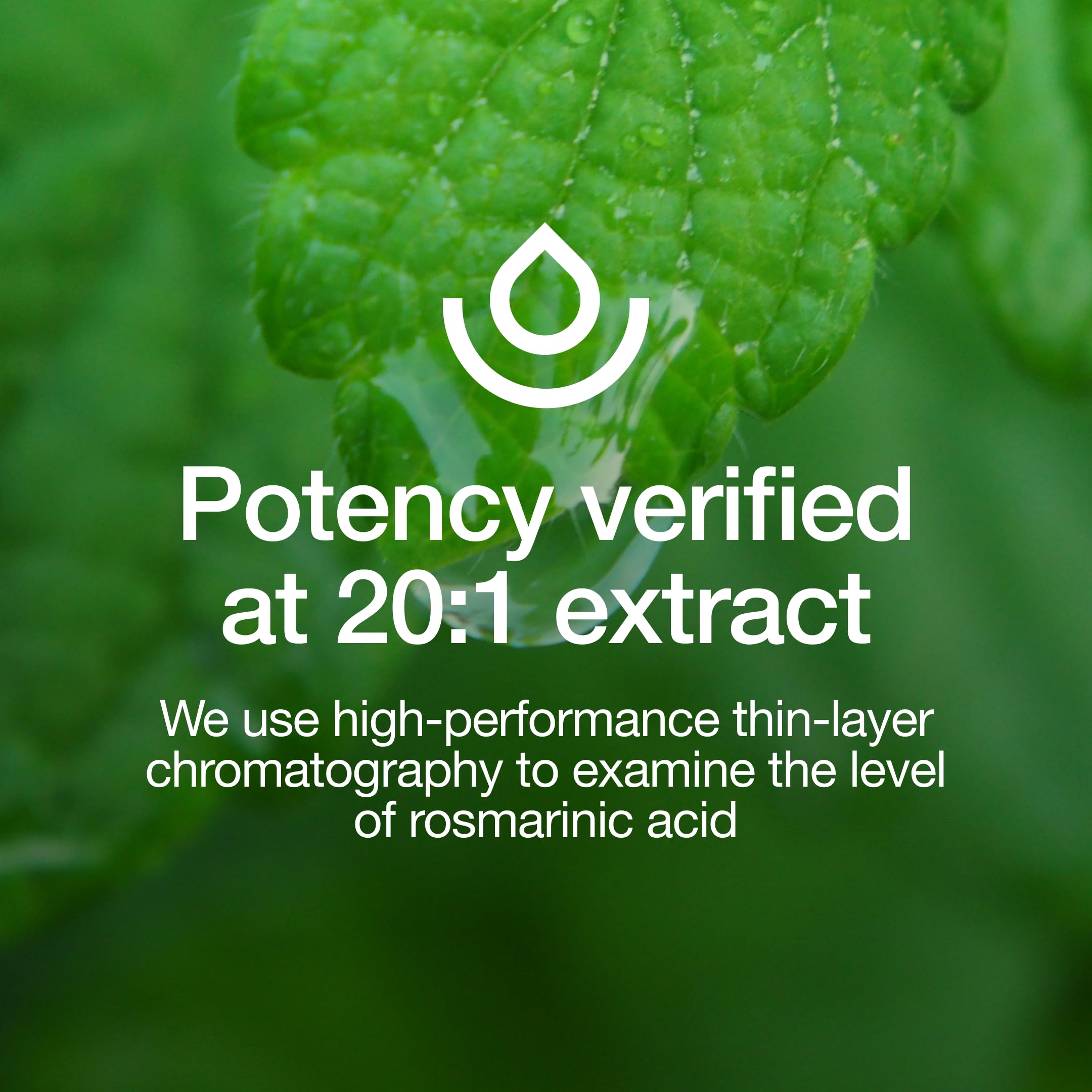 Two-pack carton indicating Pack of 2