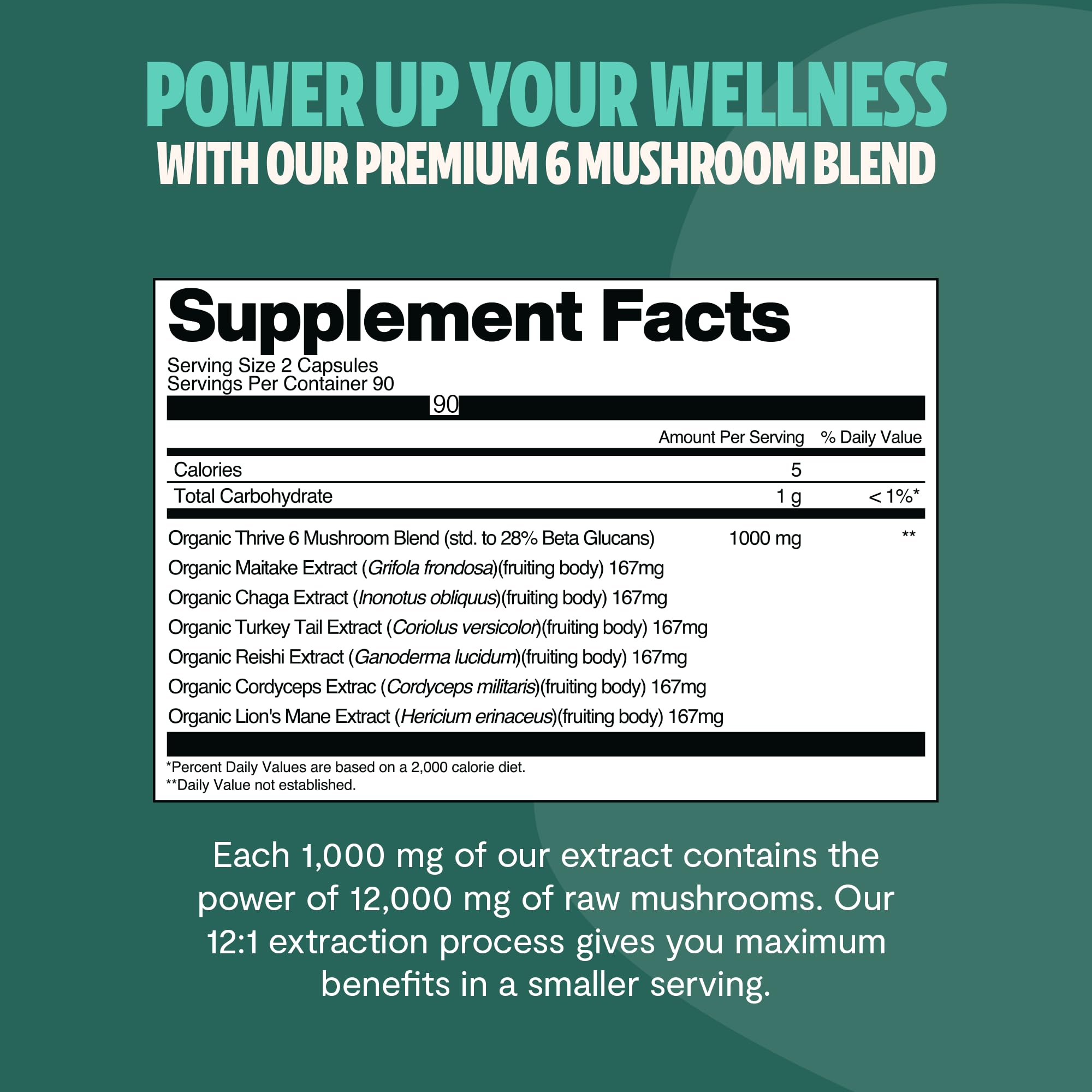 FreshCap Lion’s Mane capsules designed for potential focus and clarity.