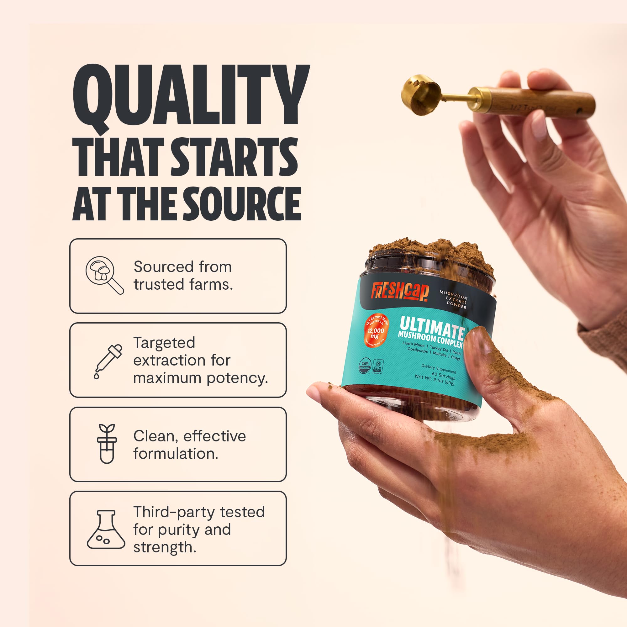 Triple-extracted mushroom powder process visual