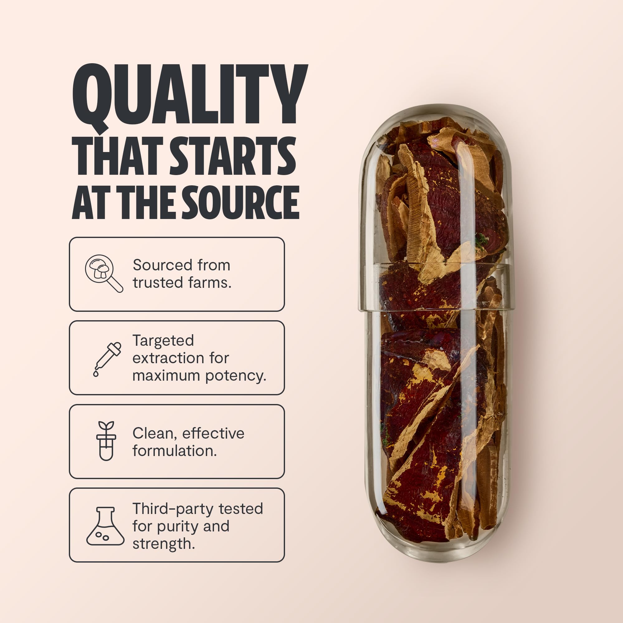 Dual-extracted Reishi mushroom capsules