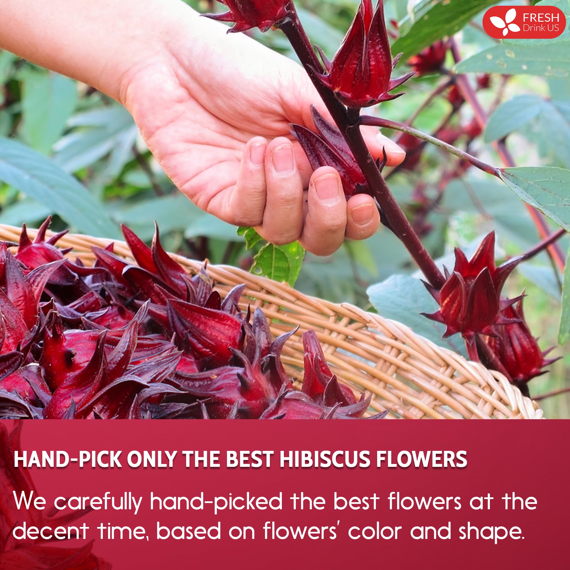 Pure hibiscus herbal tea - caffeine-free and sugar-free