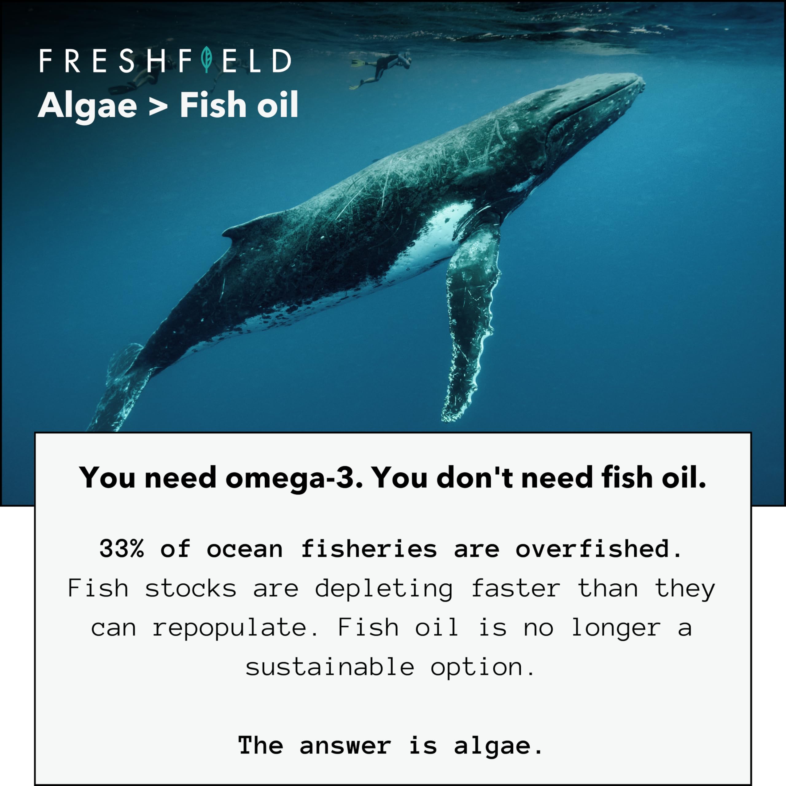 Hexane-free enzymatic extraction process for Freshfield algae oil