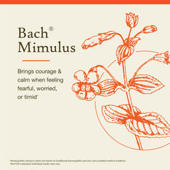 Front label artwork for Mimulus remedy