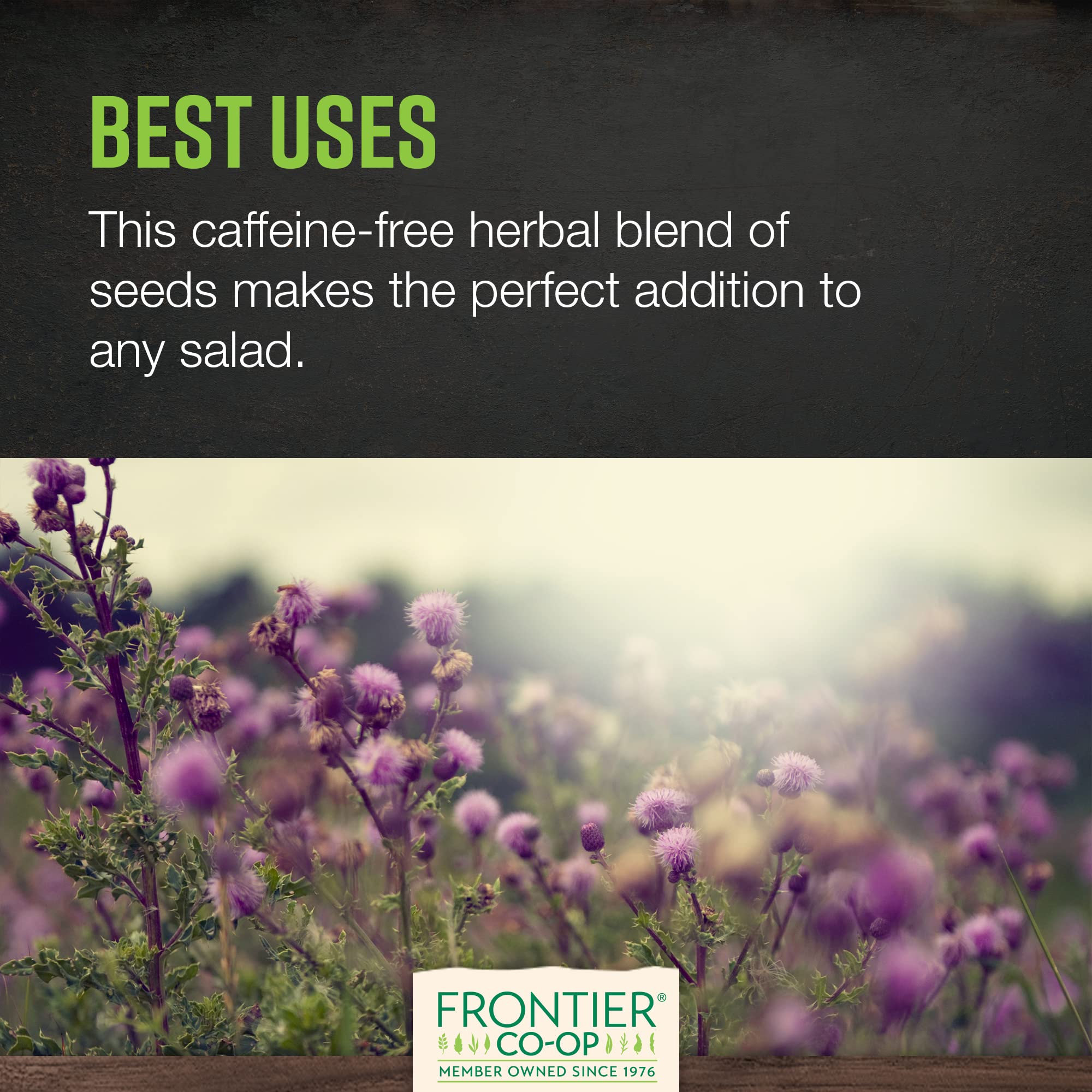 Milk thistle seeds used in culinary applications such as tea and baking