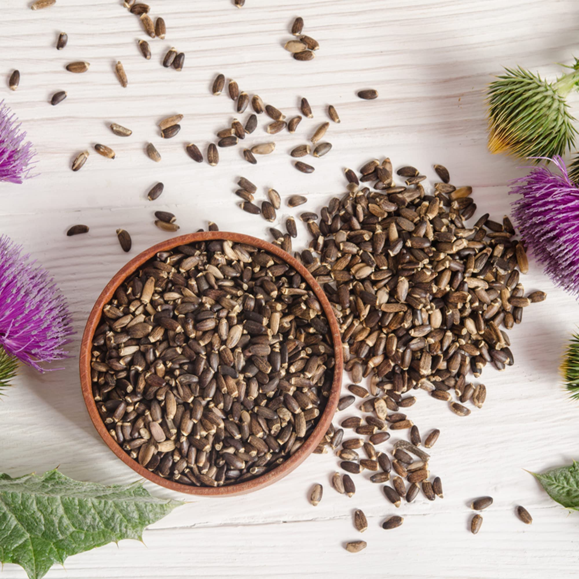 Milk thistle seeds highlighting liver health benefits