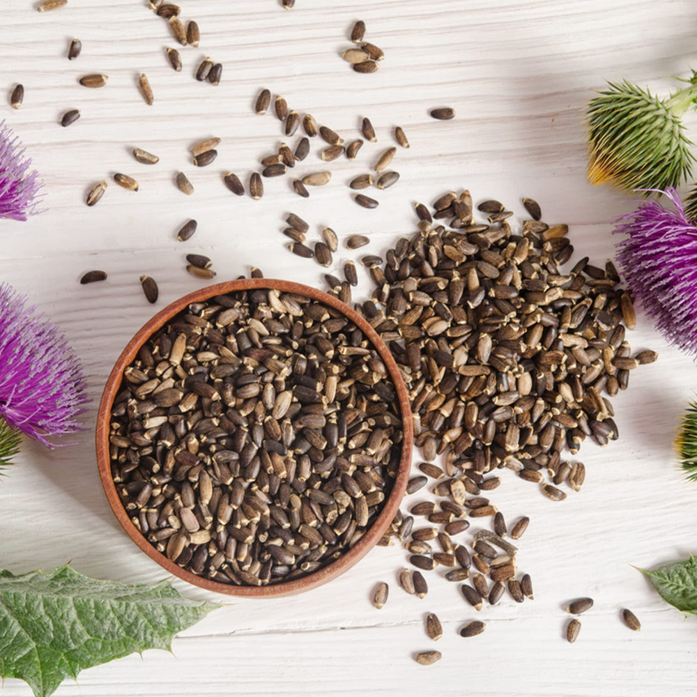 Milk thistle seeds highlighting liver health benefits