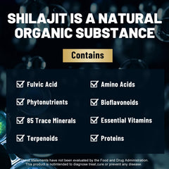 Shilajit capsules ingredients including fulvic acid and minerals