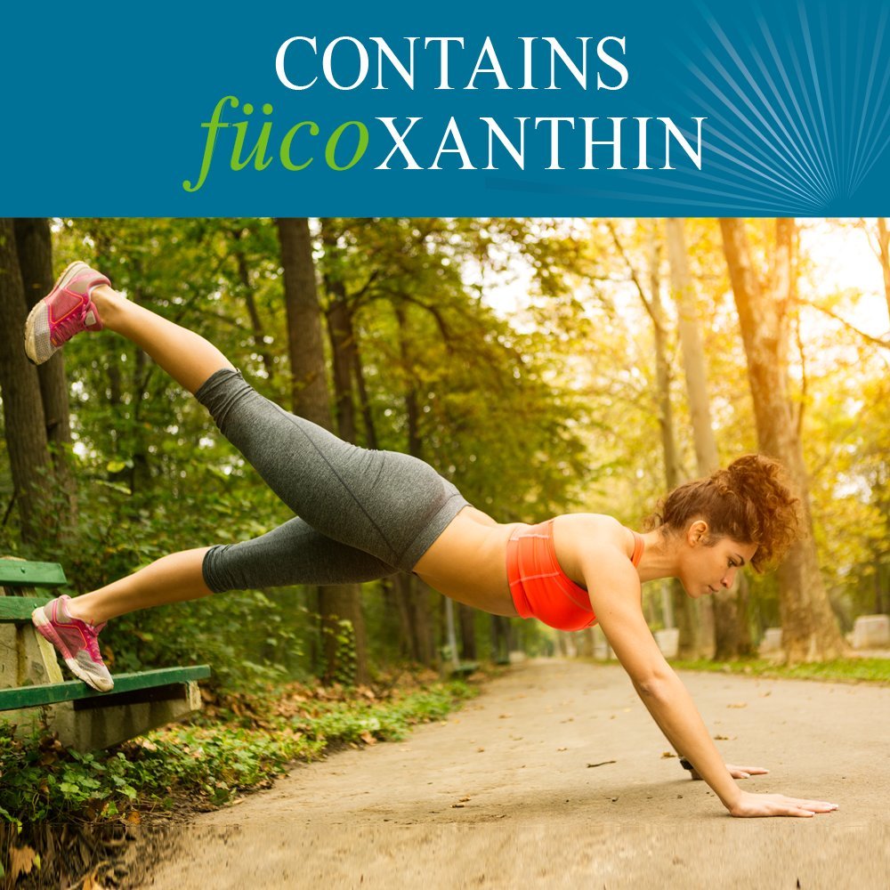 Close-up of Xanthigen ingredients: fucoxanthin and pomegranate seed oil
