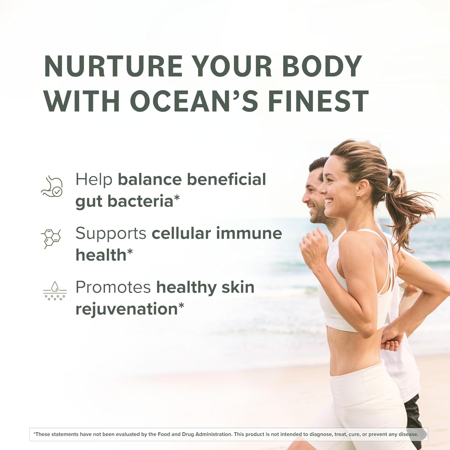 Premium brown seaweed extract used for Fucoidan