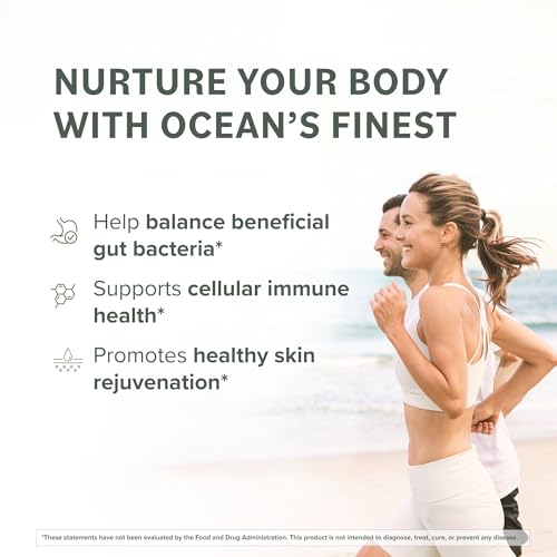 Seaweed source for Fucoidan