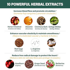 Fuenvegtal Cinchona Bark and Ginkgo Biloba for blood vitality