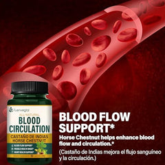 Fuenvegtal Diosmin and garlic for blood flow