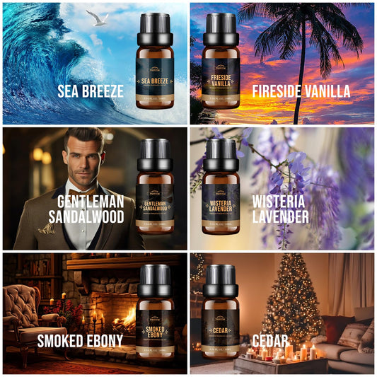Sea Breeze fragrance oil 10ml bottle