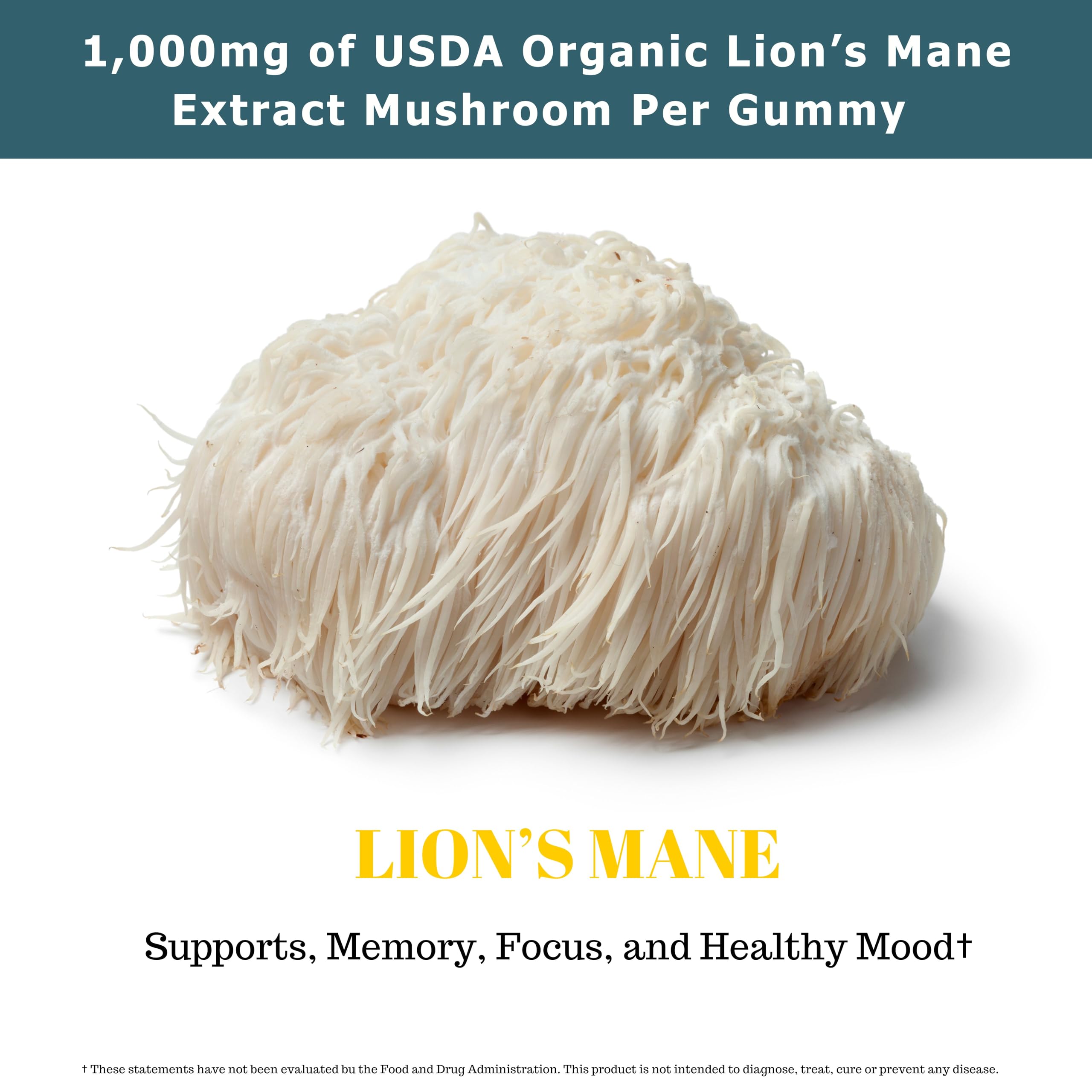 Close-up of individual Lion's Mane Gummies texture