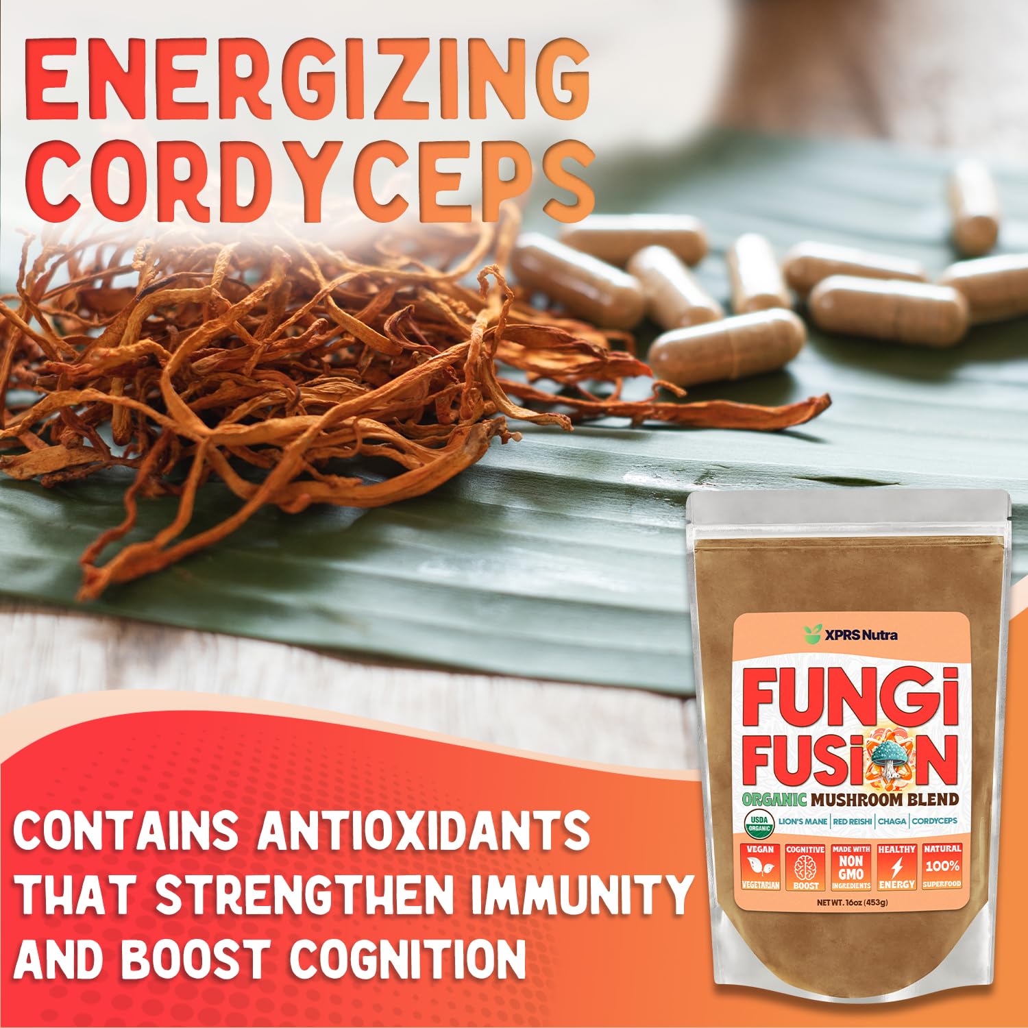 Organic mushroom powders in bowls: Lion's Mane, Red Reishi, Chaga, Cordyceps
