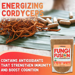 Organic mushroom powders in bowls: Lion's Mane, Red Reishi, Chaga, Cordyceps