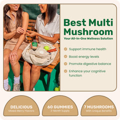 Mushroom ingredients: Lion’s Mane and Reishi