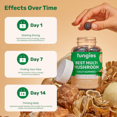 Mushroom blends: Cordyceps, Chaga, Turkey Tail, Maitake, Shiitake
