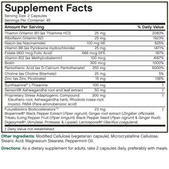 Close up of Futurebiotics StressAssist packaging 90 capsules