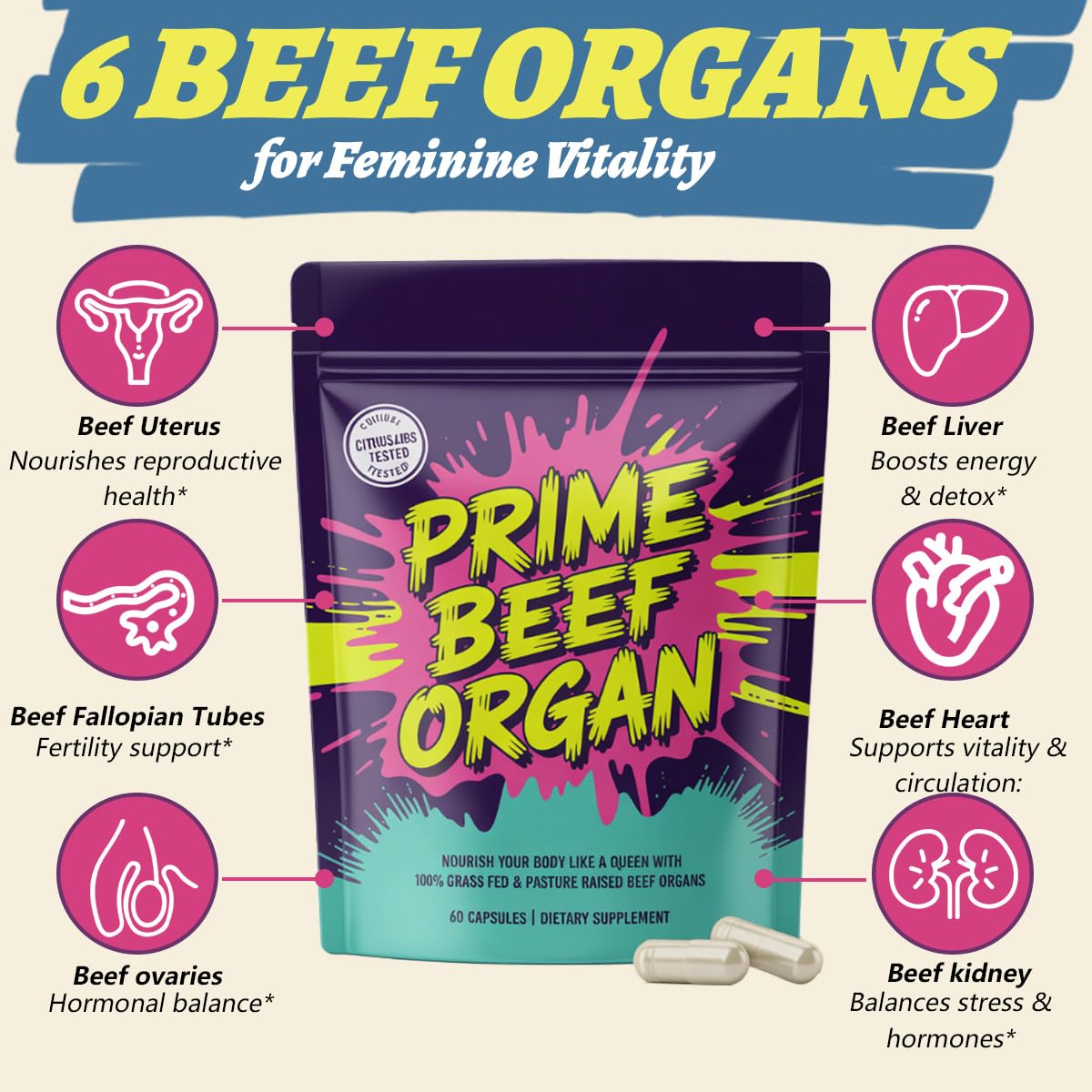 Illustration of organ powders: liver, heart, uterus, ovary, kidney, fallopian tube