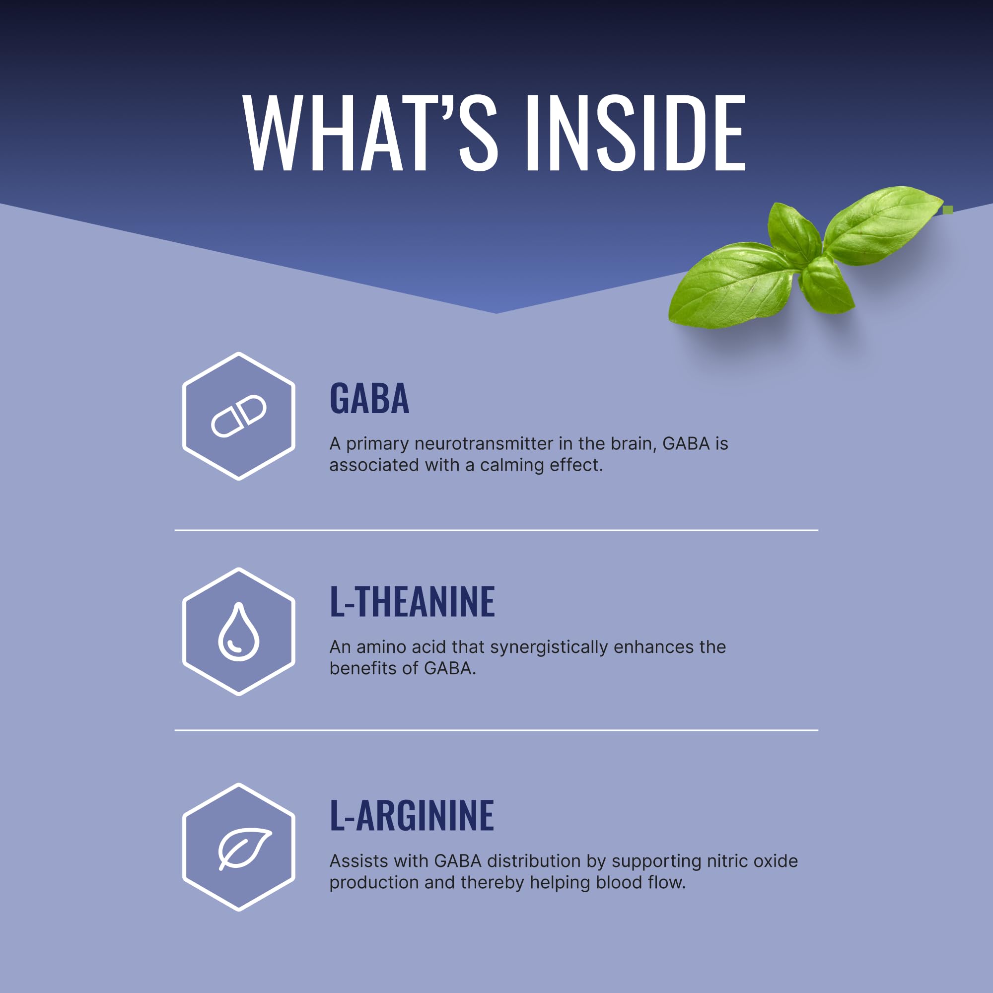 Close-up of GABA+ label highlighting 600 mg GABA per serving