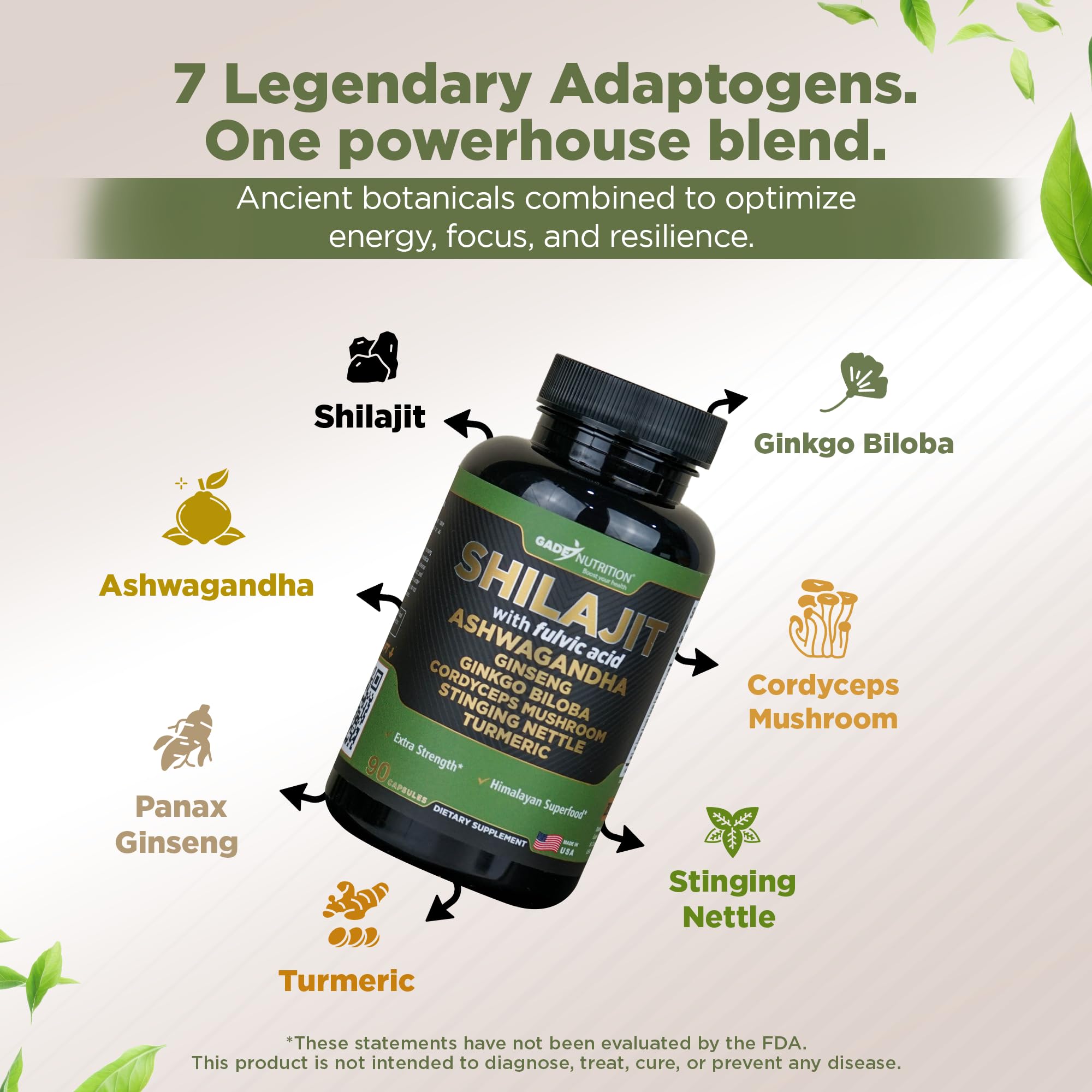 Shilajit with Ginkgo Biloba, Cordyceps and Turmeric
