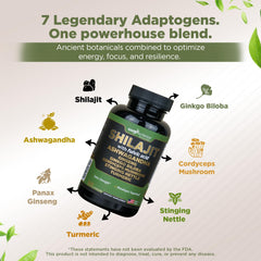 Shilajit with Ginkgo Biloba, Cordyceps and Turmeric