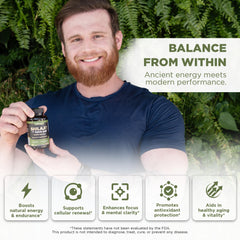 Shilajit capsules with label showing 10:1 extract