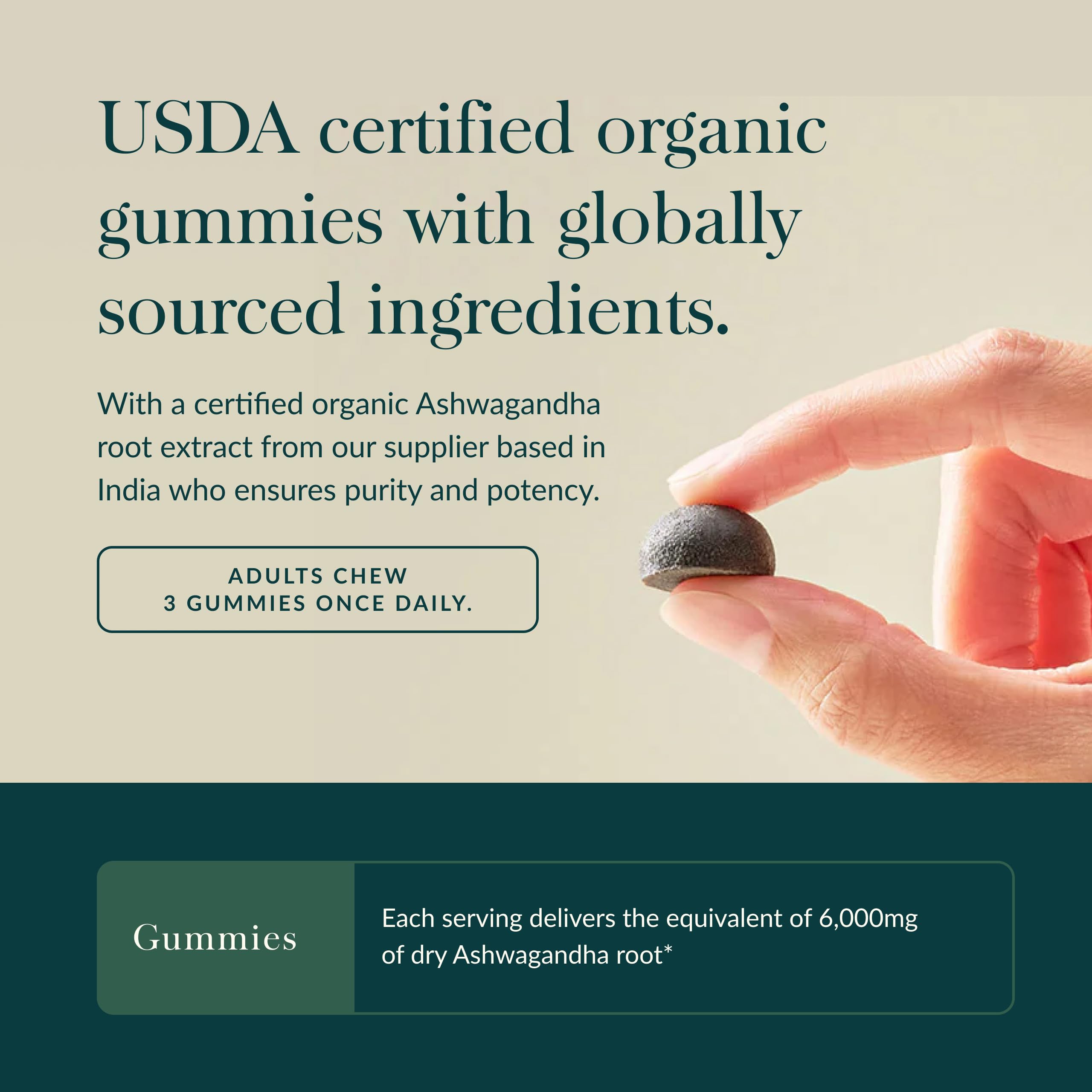 Gummies with cinnamon and ginger notes