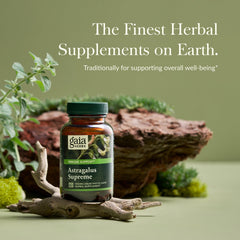 Close-up of Gaia Herbs Astragalus Supreme label