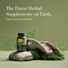 Bacopa Monnieri extract capsules, single-herb