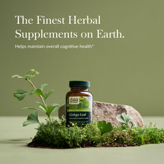 Close-up of Gaia Herbs Ginkgo Leaf bottle and seal