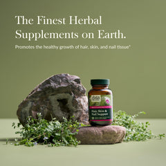 Herbal ingredients collage: horsetail, alfalfa, burdock root, triphala, gotu kola, nettle