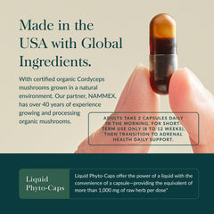Gaia Herbs Adrenal Health Jumpstart schisandra berries, suggesting endurance during demanding days