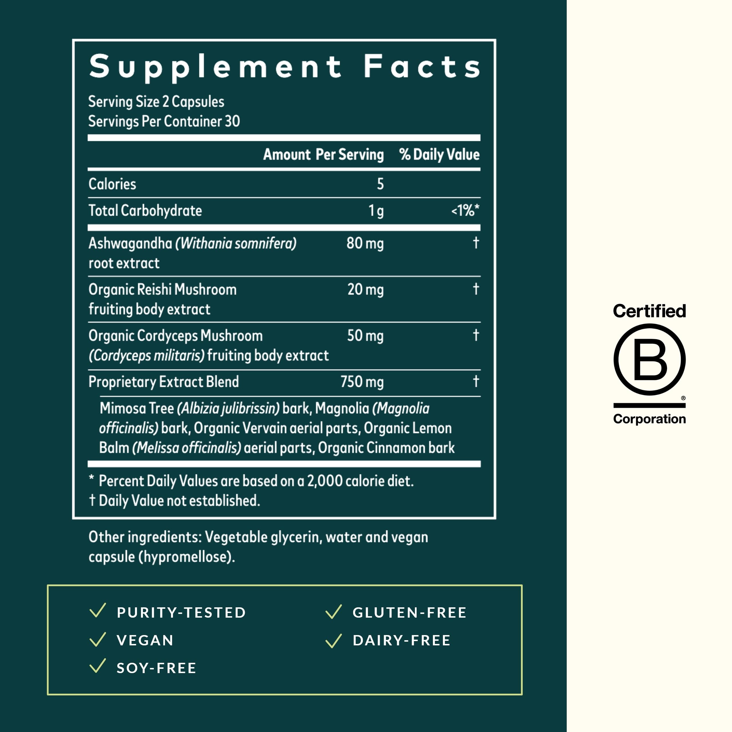 Illustration of ashwagandha, magnolia bark, cordyceps and lemon balm