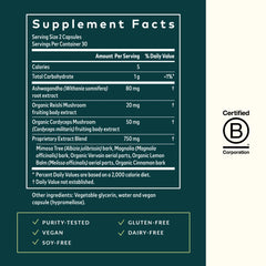 Illustration of ashwagandha, magnolia bark, cordyceps and lemon balm