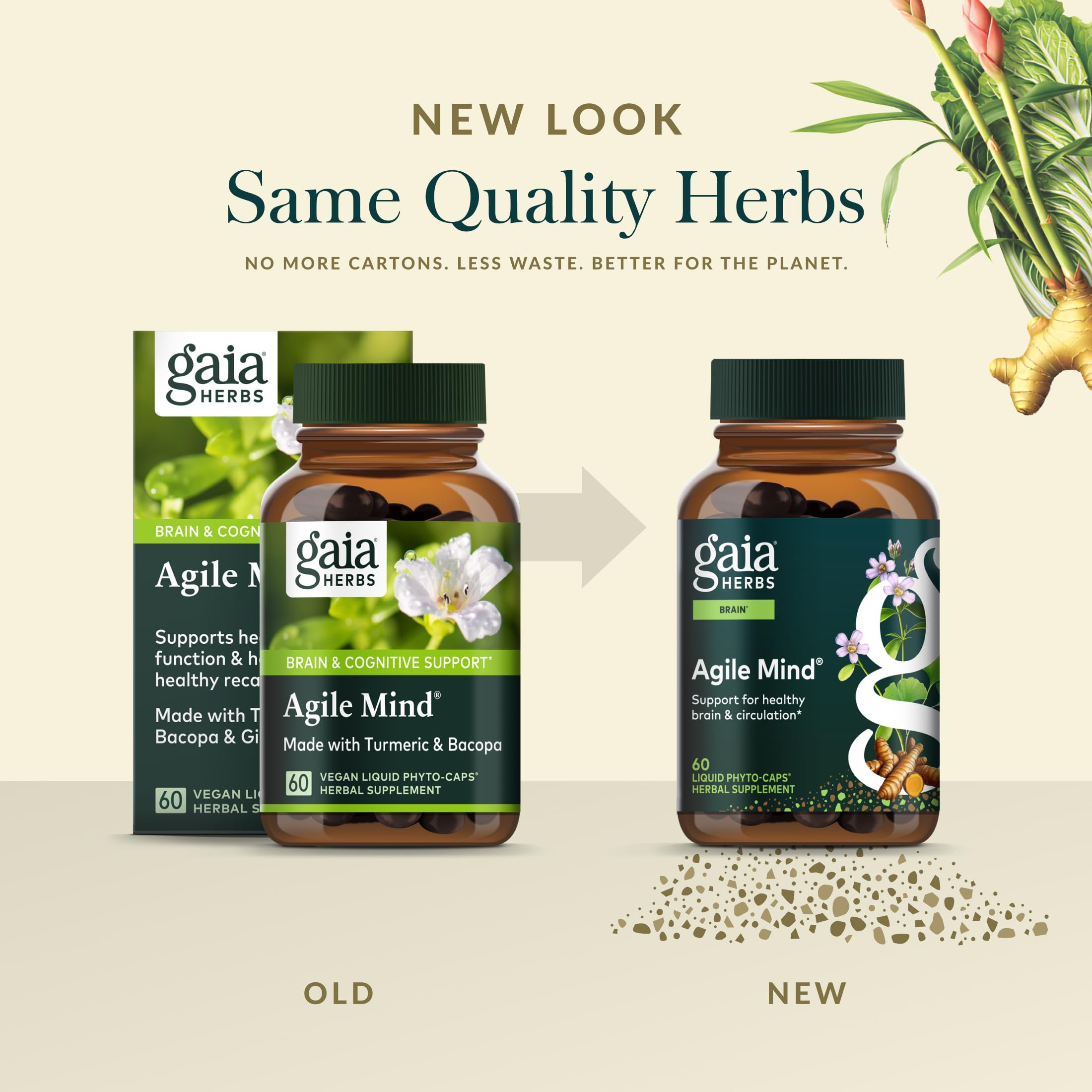 Ginkgo biloba close-up in Agile Mind for a balanced, non-stimulant profile.