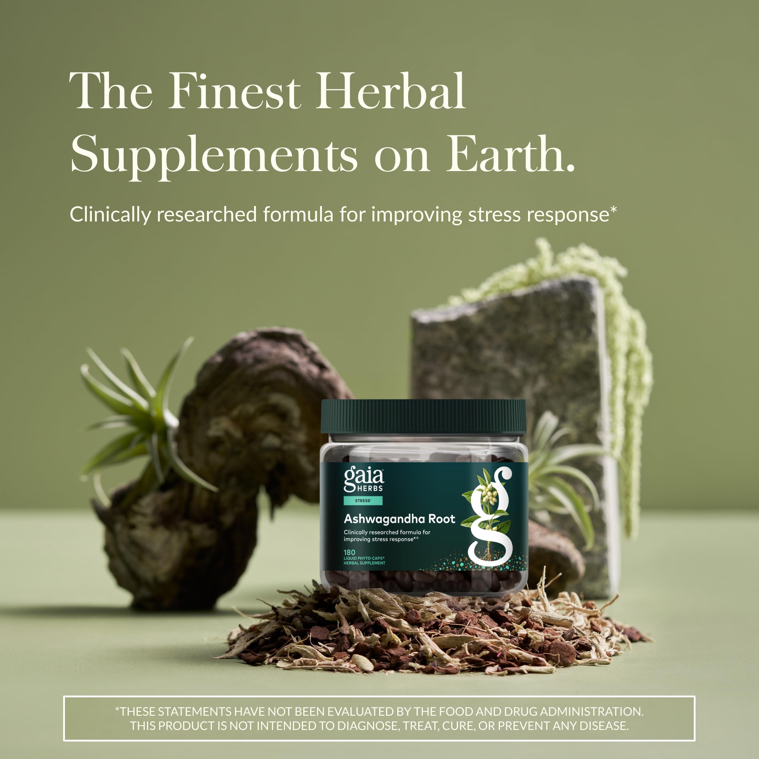 Gaia Herbs Ashwagandha root raw closeup—organic root used in capsules.