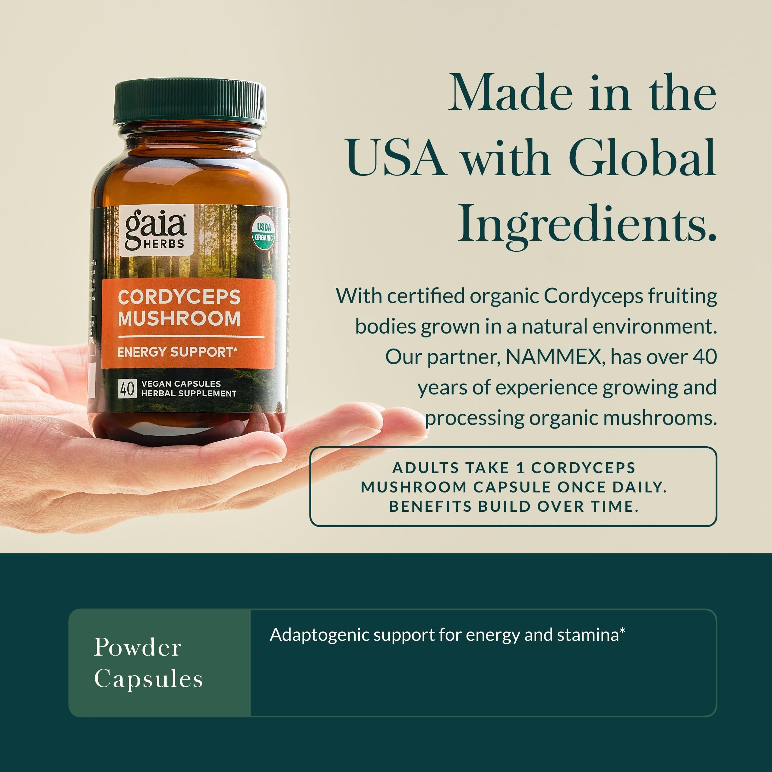 40-day supply of Cordyceps capsules beside a plant leaf