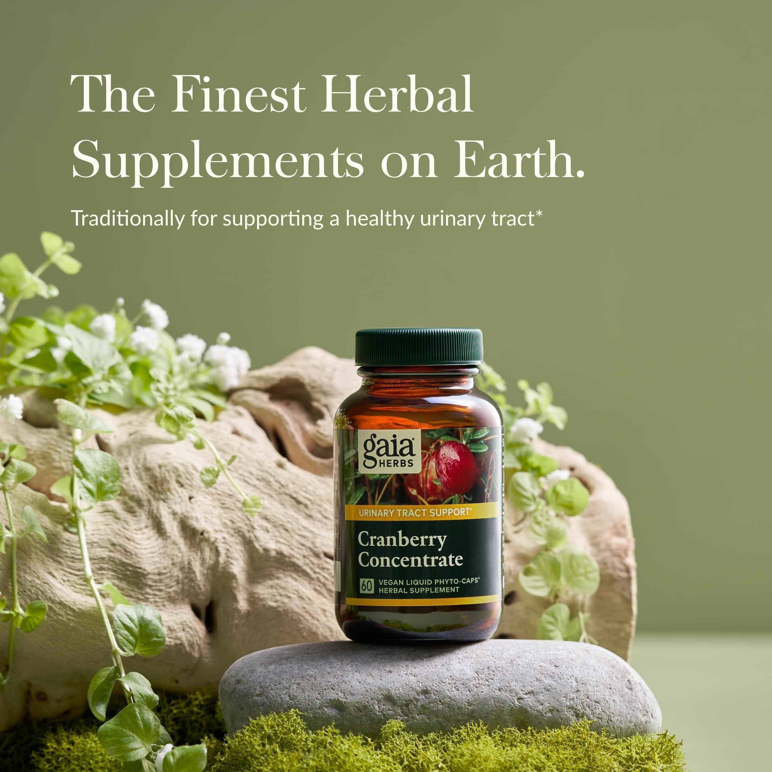 Gaia Herbs Cranberry Concentrate bottle front view