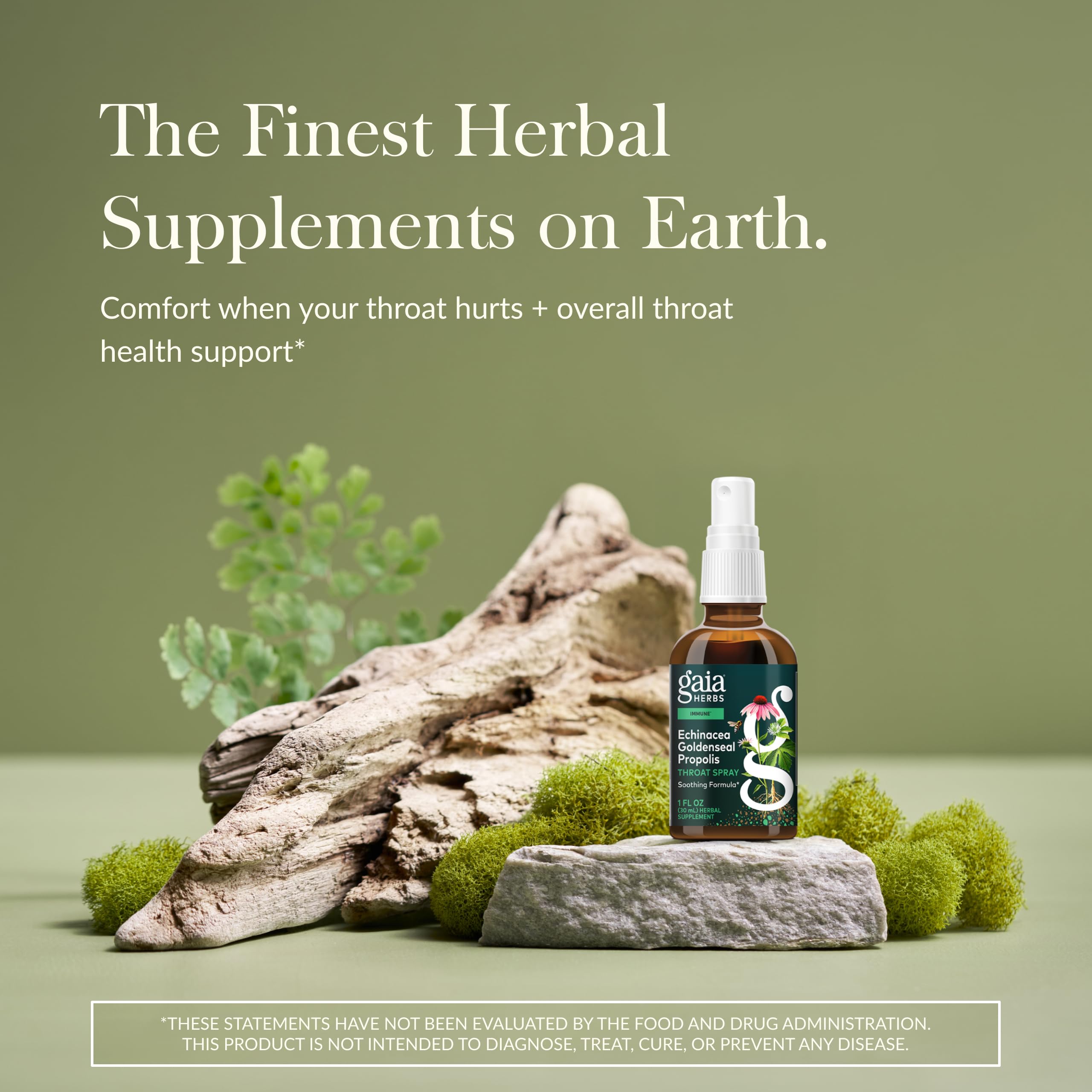 Close-up of echinacea root used in the spray