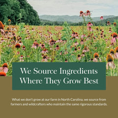 Gaia Herbs farmers harvesting Echinacea showing traceable farming benefit
