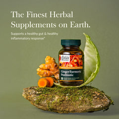 Fermented ginger and turmeric postbiotic capsules