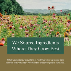 Propolis, Ginger, and Echinacea ingredients in Gaia Gummies close-up