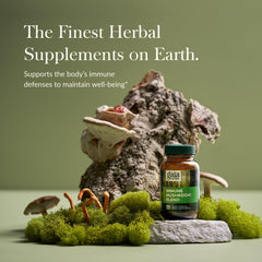 Gaia Immune Mushroom Blend capsules close-up